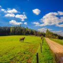 Foto: ©Koruna Vysočiny