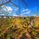 Foto: ©Koruna Vysočiny