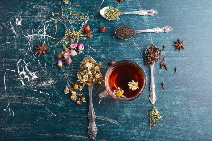 Bylinky v každodenním životě. Jak využít sílu přírody doma i na cestách