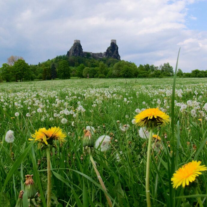 Zřícenina hradu Trosky. Foto © Vratislav Říha