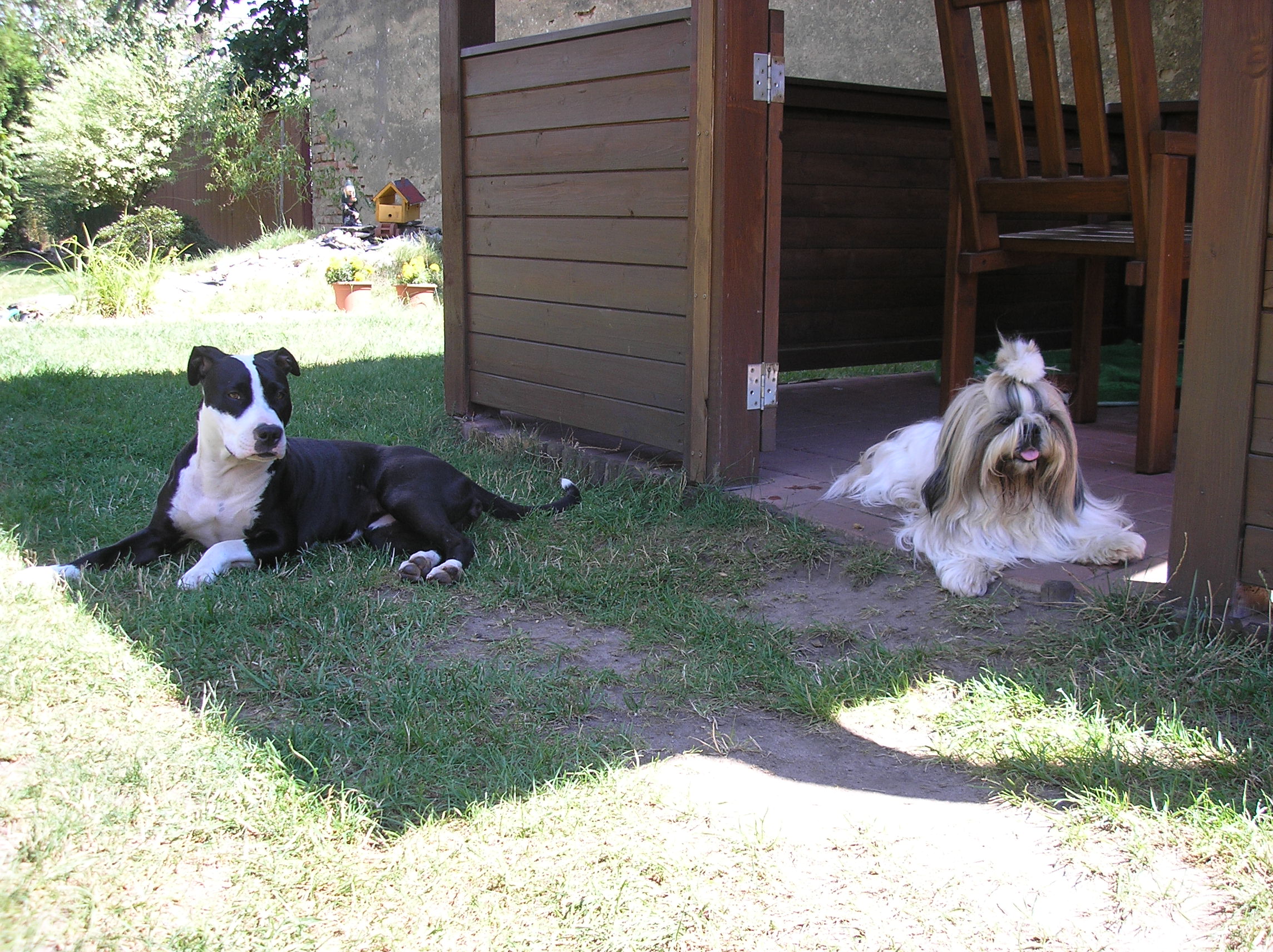 Domácí ubytování pro psy. Foto © se svolením Kateřina Lulková