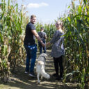 Kukuřičáci — největší bludiště v ČR. Foto: ©Kukuřičáci