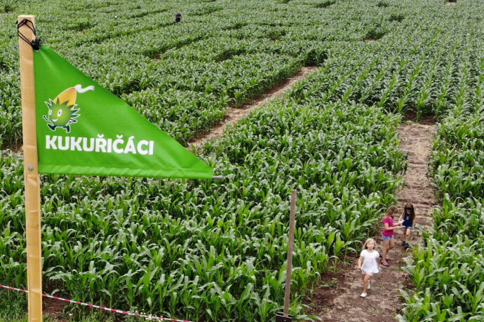 Kukuřičáci — největší bludiště v ČR. Foto: ©Kukuřičáci