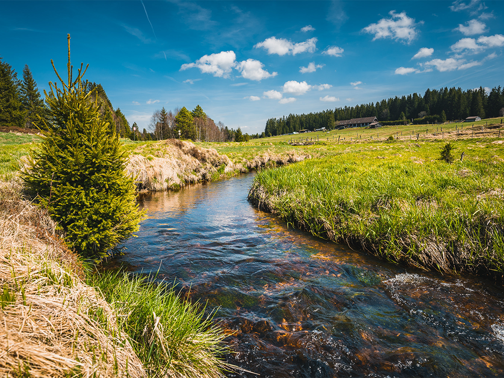 Třiďte odpad i na výletech, aby příroda zůstala čistá i pro budoucí generace. Zdroje: ©YouTube/Samosebou.cz