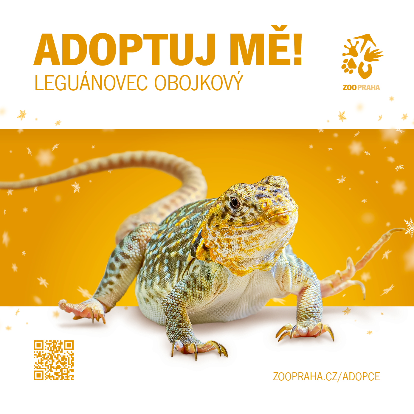 Zvířecí sirotci Zoo Praha 2025, Foto: © Zoo Praha