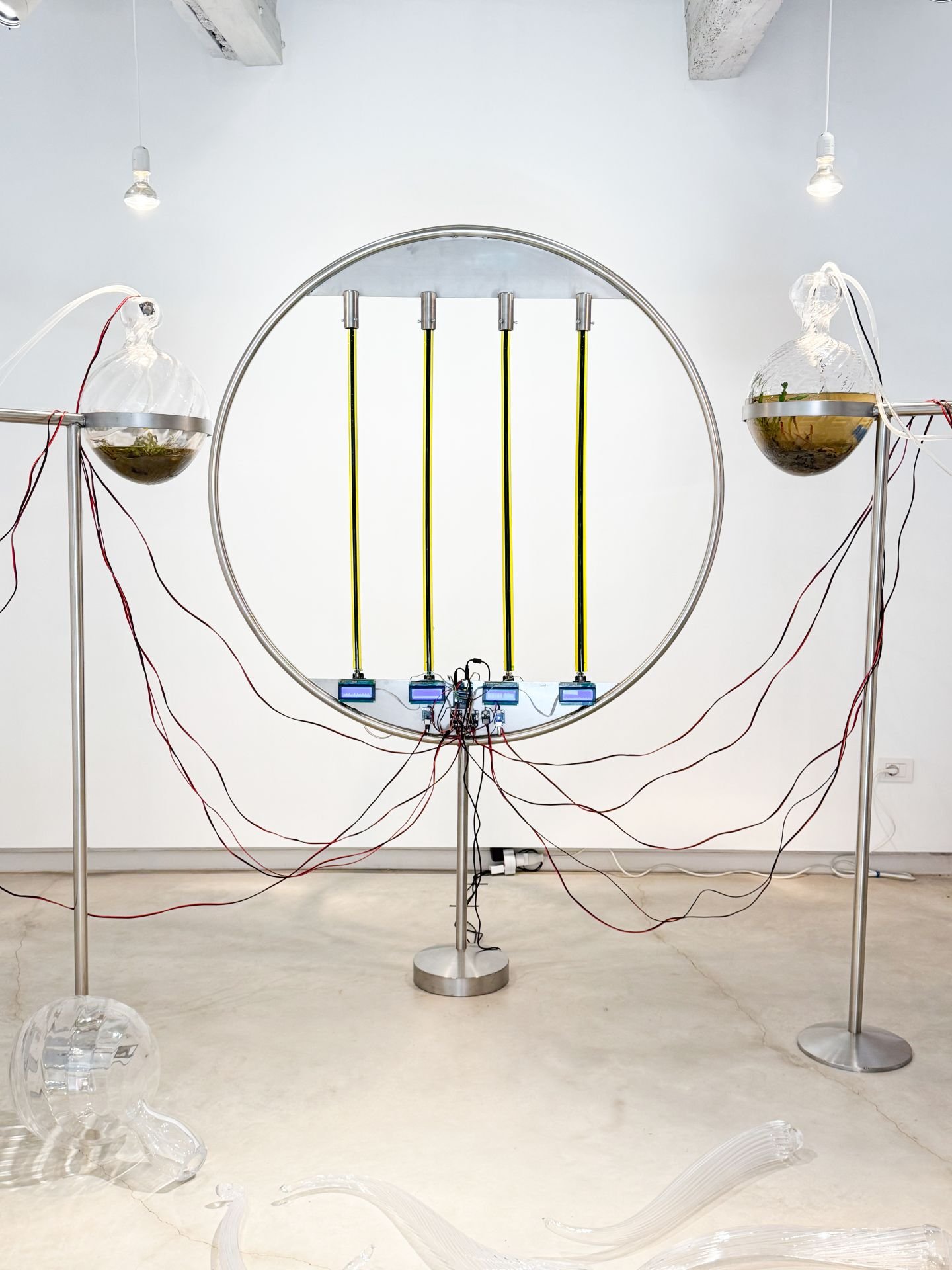 Foto: ©Alexandra Vajd