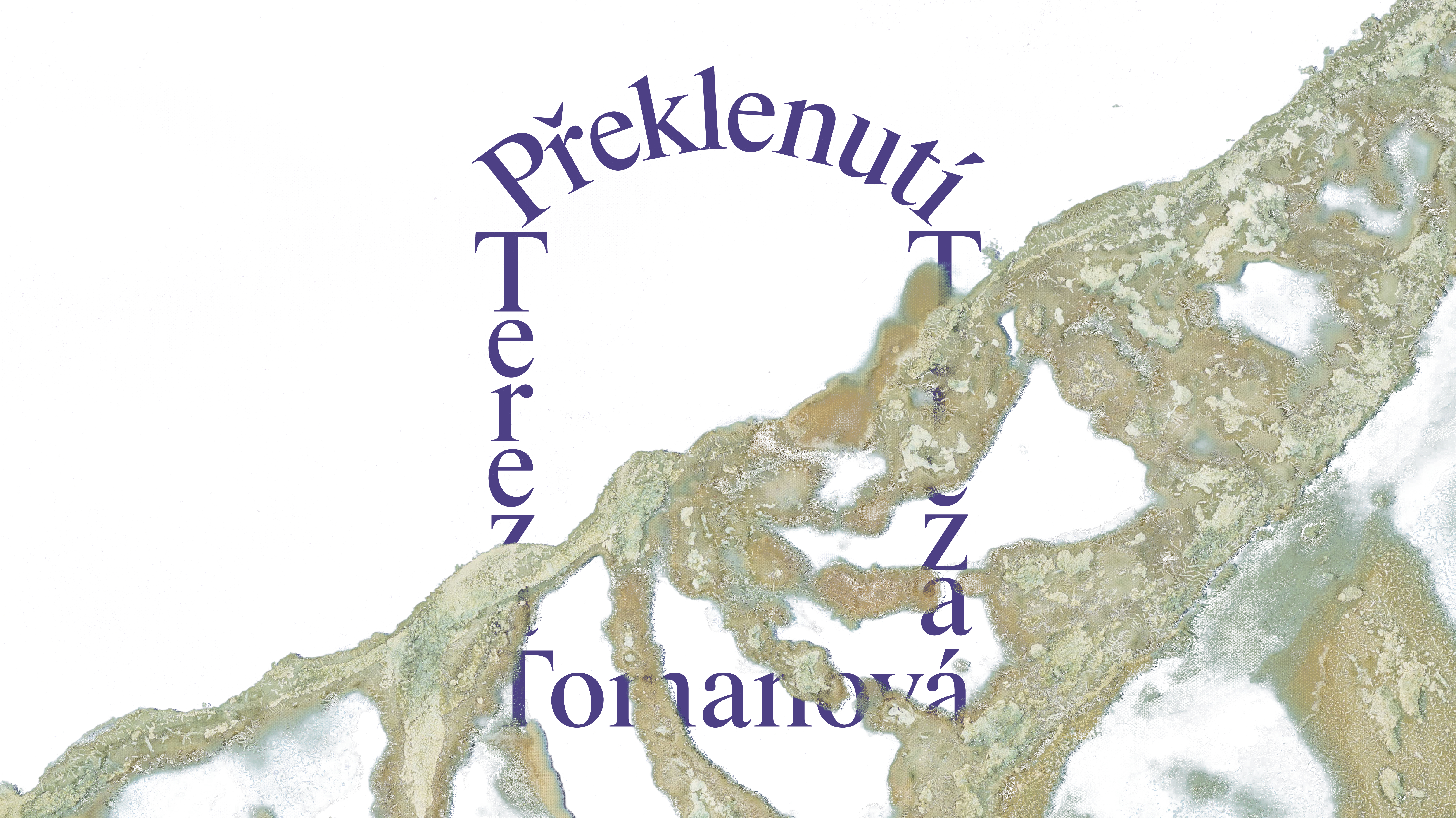 Foto: ©Karpuchina Gallery