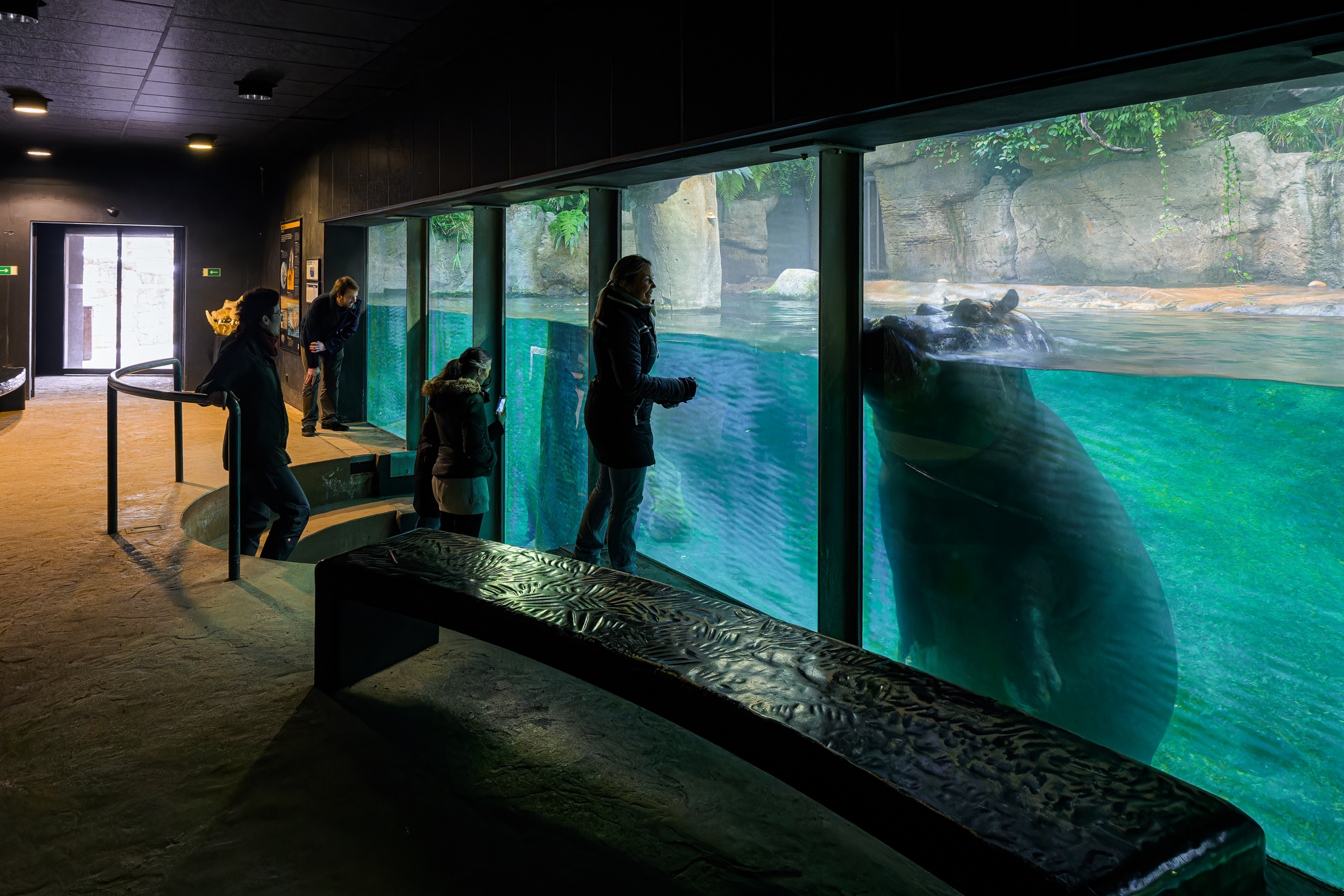 Foto: © Petr Hamerník, Zoo Praha