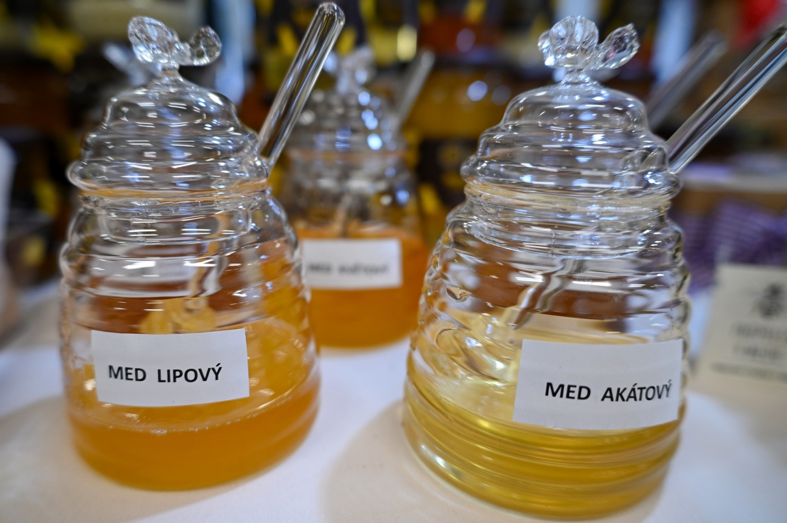 Včela 2026, Foto: vcelaostrava.cz