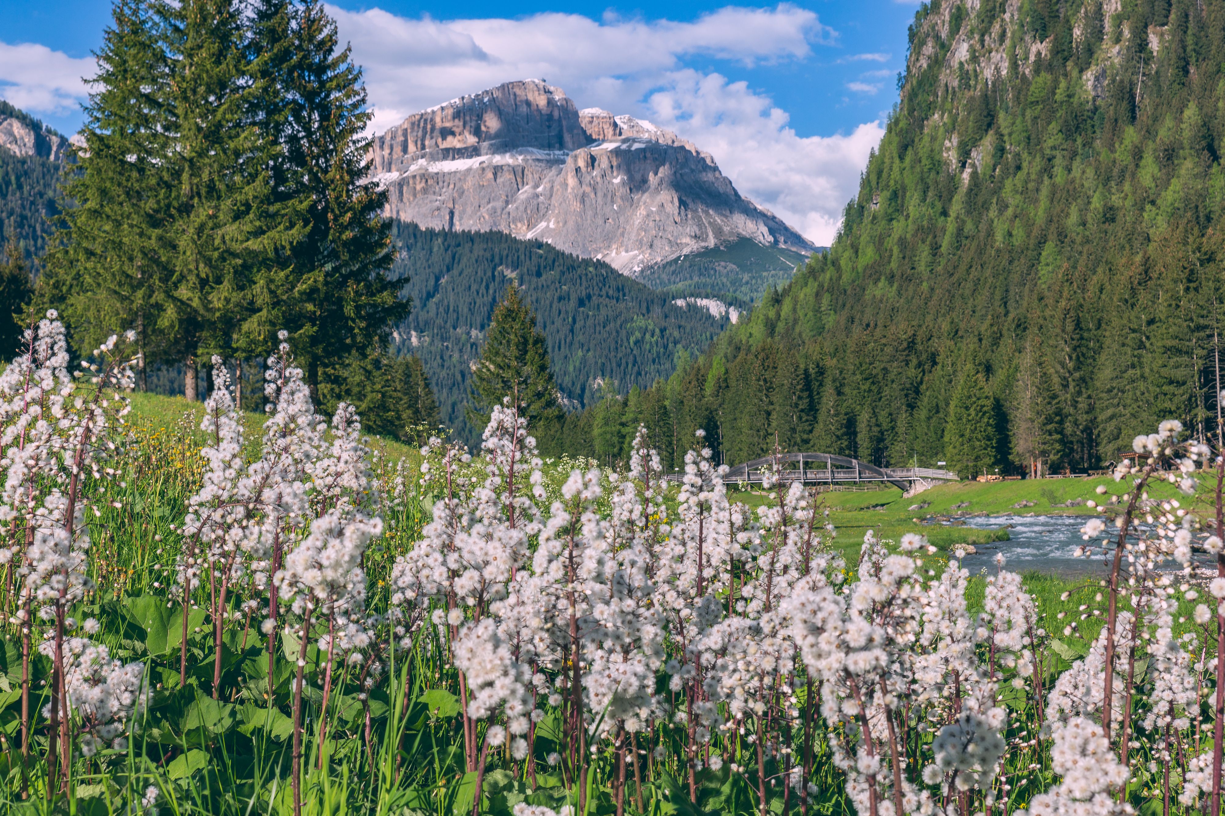 Foto: ©Val di Fassa